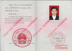 罗文耀执业证书_罗师傅是白蚁虫