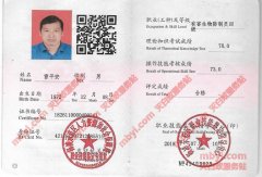 雷平安执业证书_雷师傅是白蚁虫